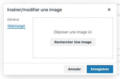 Insert image in an email campaign